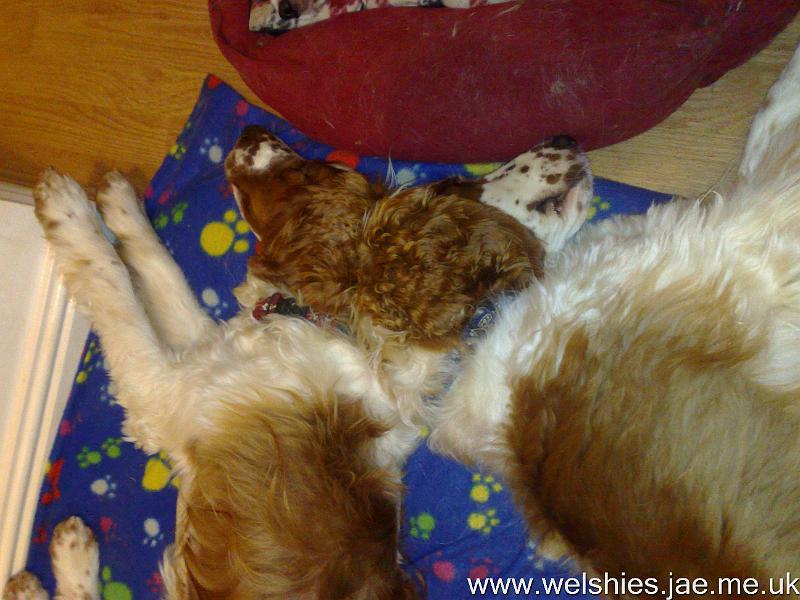 2010-11-15 01.jpg - Brotherly love!